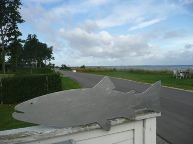 STRANDVEJEN 14 - LYSTRUP STRAND, Fisk - august 2009.jpg